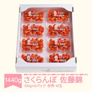 yӂ邳Ɣ[Łzys\z   ԏGi M 180g×8pbN2026NY ߘa8NY R`Y