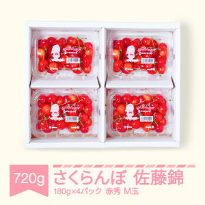 yӂ邳Ɣ[Łzys\z   ԏG M180g×4pbN 2026NY ߘa8NY R`Y mm-snpmx800