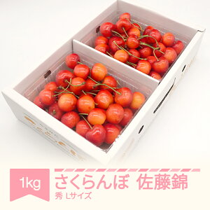 yӂ邳Ɣ[Łzys\z   Gi 500g×2pbN 1kg L ol 2026NY ߘa8NY R`Y 