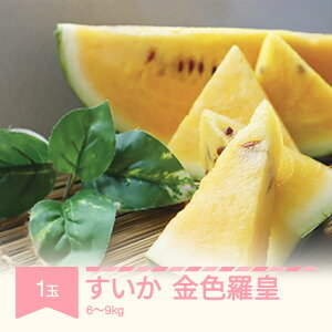 yӂ邳Ɣ[Łzys\z  Fc 1ʓ 6~9kg 2026NY ߘa8NY R`Y  Eւ̔zs