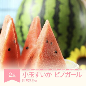 yӂ邳Ɣ[Łzys\z  smK[  2ʓ v 3.2kg 2026NY ߘa8NY R`Y  Eւ̔zs