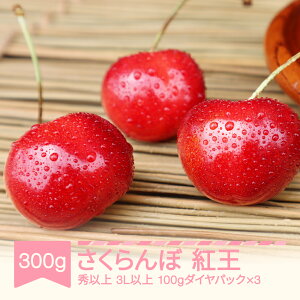 yӂ邳Ɣ[Łzys\z ܂g 3Lȏ Giȏ 300g 100g×3pbN 2026NY ߘa8NY R`Y  Eւ̔zs mm-yb3ld300