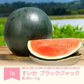 【ふるさと納税】【先行予約】 すいか ブラックジャック 1玉 約5~7kg 令和8年産 2026年産 果物 送料無料 ※沖縄・離島への配送不可 no-subjc1