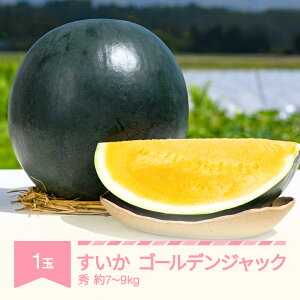 yӂ邳Ɣ[Łzys\z  S[fWbN 1 7kg~9kg 2026NY ߘa8NY  Eւ̔zs no-sugjc1