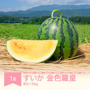yӂ邳Ɣ[Łzys\z Fci5~6kg) Gi 1 ߘa8NY 2026NY XCJ ʕ  Eւ̔zs no-sukrx5