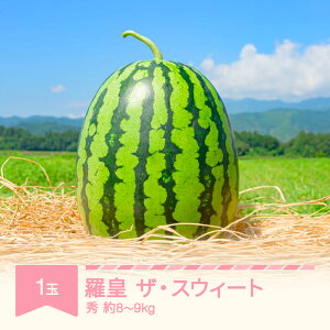 yӂ邳Ɣ[Łzys\z cUEXEB[g 1 8~9kg ߘa8NY 2026NY ʕ  Eւ̔zs no-surox1
