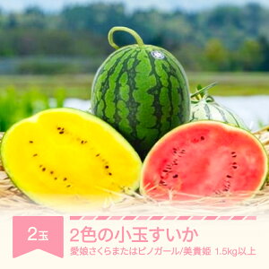 yӂ邳Ɣ[Łzys\z 2F̏ʂ 2 ʕ XCJ ߘa8NY 2026NY ʕ  Eւ̔zs no-suwck2