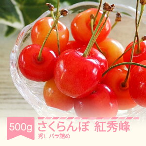 yӂ邳Ɣ[Łzys\z  gG GLTCY ol 500g 2026NY ߘa8NY R`Y ʕ TN{ ns-bsslb500  Eւ̔zs ns-bsslb500
