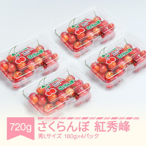yӂ邳Ɣ[Łzys\z gG GLTCY 720g (180gx4pbN) t[hpbN 2026NY ߘa8NY R`Y  TN{ Eւ̔zs ns-bsslp800