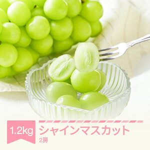 yӂ邳Ɣ[Łzys\z Ԃǂ VC}XJbg Gi 2[(600g×2) ߘaNY 2025NY R`Y ʕ  ns-busmx1200Eւ̔zs