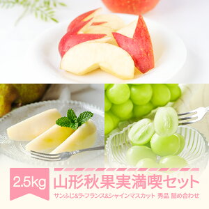 yӂ邳Ɣ[Łzys\z R`HʎiZbg VC}XJbg Tӂ EtX Gi lߍ킹 2.5kg ϔ 2025NY ߘa7NY Eւ̔zs ns-fsrls2500