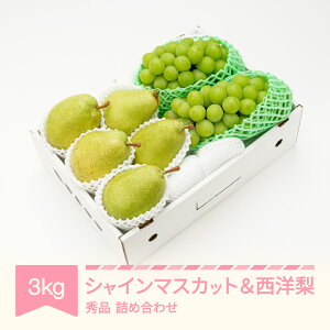 yӂ邳Ɣ[Łzys\z VC}XJbg Gi & m lߍ킹 3kg ߘa8NY 2026NY ʕ   ns-fssyx3 Eւ̔zs