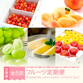 【ふるさと納税】【先行予約】【春始まり】 フルーツ 定期便 山形 2026年産 令和8年産 ラ・フランス りんご さくらんぼ 佐藤錦 桃 シャインマスカット 全5回 フルーツ定期便 送料無料 ※沖縄・離島への配送不可 ns-ft5xx