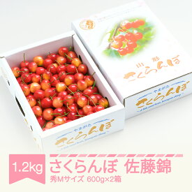 【ふるさと納税】先行予約 さくらんぼ 佐藤錦 秀Mサイズ バラ詰め 1.2kg(600g×2箱) 2024年産 令和6年産 山形県産 送料無料 サクランボ