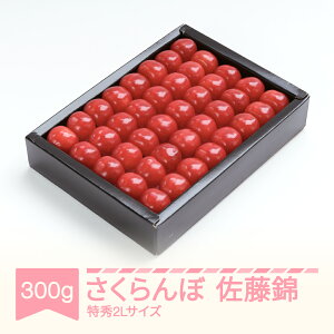 yӂ邳Ɣ[Łzys\z   G2LTCY v[g Mtg ϔl 300g 2026NY ߘa8NY R`Y  TN{
