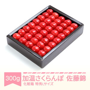 yӂ邳Ɣ[Łzys\z   GLTCY v[g Mtg ϔl 300g 2026NY ߘa8NY R`Y  TN{ Eւ̔zs ns-sntlx30