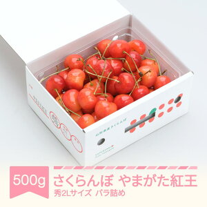 yӂ邳Ɣ[Łzys\z  ܂g 500goP G2L 2026NY ߘa8NY R`Y ns-ybs2b500 Eւ̔zs ns-ybs2b500