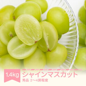 yӂ邳Ɣ[Łzys\z 2025NY VC}XJbg Gi 1.4kg (2~4[x) R`Y t[c ʕ  Ԃǂ  uhE sb-busmx1400 Eւ̔zs