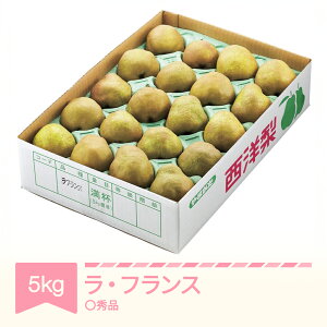 yӂ邳Ɣ[Łz EtX m tX Gi 5kg 2025NY ߘa7NY ʕ R`Y  sb-lamsx5