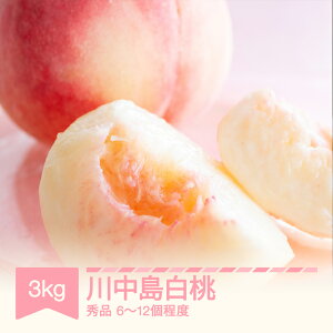 yӂ邳Ɣ[Łzys\z  쒆 Gi 3kg (6`12x) R`Y ߘa8NY 2026NY t[c ʕ    sb-moknx3 Eւ̔zs