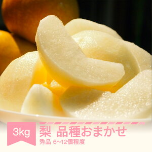 yӂ邳Ɣ[Łzys\z i킨܂ Gi 3kg (6`12x) R`Y ߘa8NY 2026NY t[c ʕ sb-nahkx3 Eւ̔zs