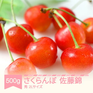 �y�ӂ邳�Ɣ[�Łz�y��s�\��z�������� ������ 500g 2L �T�C�Y �ߘa8�N�Y 2026�N�Y �R�`���Y �t���[�c �ʕ� �������� �T�N�����{ sb-sns2x500 ������E�����ւ̔z���s��