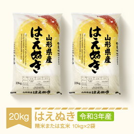 楽天市場 ふるさと納税 米 kgの通販