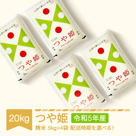 【ふるさと納税】米 20kg 5kg×4 つや姫 特別栽培米 精米 令和5年産 山形県村山市産 送料無料