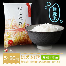 【ふるさと納税】新米 米 5kg 10kg 15kg 20kg はえぬき 無洗米 令和7年産 2025年産 選べる内容量 山形県村山市産 送料無料 ※沖縄・離島への配送不可