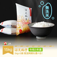 【ふるさと納税】 米 15kg 5kg×3 はえぬき 無洗米 令和5年産 ...