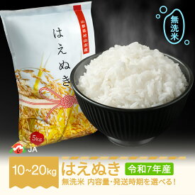【ふるさと納税】お米 10kg 15kg 20kg はえぬき 無洗米 令和7年産 2025年産 選べる内容量 山形県村山市産 送料無料 ※沖縄・離島への配送不可