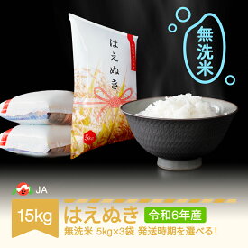 【ふるさと納税】米 15kg 5kg×3 はえぬき 無洗米 令和6年産 2024年産 山形県村山市産 送料無料※沖縄・離島への配送不可 ja-hamxb15