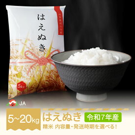 【ふるさと納税】新米 米 5kg 10kg 15kg 20kg はえぬき 精米 令和7年産 2025年産 選べる内容量 山形県村山市産 送料無料 ※沖縄・離島への配送不可