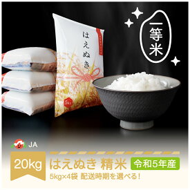 【ふるさと納税】 先行予約 米 20kg 5kg×4 はえぬき 精米 令和3年産 2021年産 山形県村山市産 送料無料