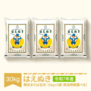 yӂ邳Ɣ[ŁzV  30kg 10kg×3 ͂ʂ   ߘa7NY 2025NY R`Y Eւ̔zs