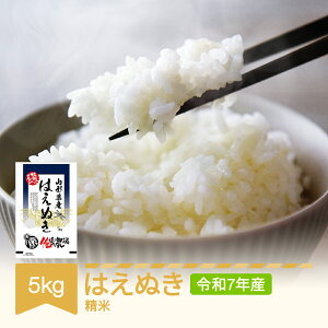 �y�ӂ邳�Ɣ[�Łz�V�� �͂��ʂ� ���� �� �R�� 5kg 2025�N�Y �ߘa7�N�Y �R�`�����R�s�Y of-haxxa5 �������� ������E�����ւ̔z���s�� of-haxxa5