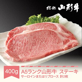 【ふるさと納税】山形牛 肉 ステーキ A5 2枚 計400g 和牛 国産 山形セレクション認定 送料無料 黒毛和牛 焼肉 バーベキュー BBQ 牛肉 an-gnstn400