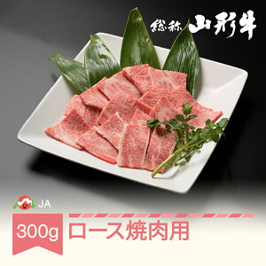 yӂ邳Ɣ[ŁzIR` ēp[X 300g  јa