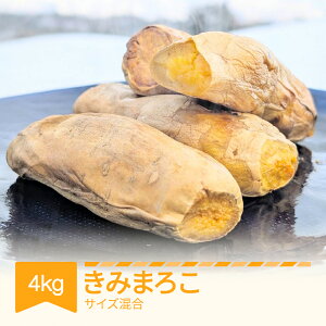 yӂ邳Ɣ[Łz܂ ݂܂낱 4kg RsY 2025NY ߘa7N R`Y   Eւ̔zs no-spkmx4