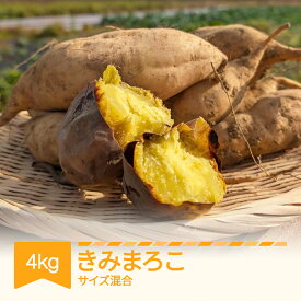 【ふるさと納税】【先行予約】 さつまいも きみまろこ 土付き 約4kg 村山市産 2026年産 令和8年産 山形県産 芋 送料無料 ※沖縄・離島への配送不可 no-spkmx4