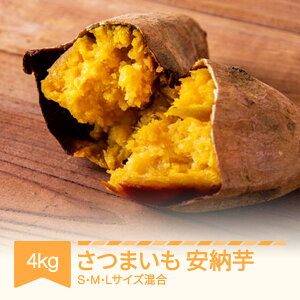 yӂ邳Ɣ[Łz܂ [ RsY 4kg 2025NY ߘa7NY  R`Y Eւ̔zs