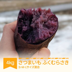 yӂ邳Ɣ[Łz܂ ӂނ炳  RsY 4kg 2025NY ߘa7NY  R`Y Eւ̔zs