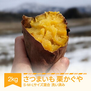 yӂ邳Ɣ[Łz܂ I 􂢍ς 2kg RsY 2025NY ߘa7N R`Y  Eւ̔zs no-spkka2