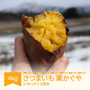 yӂ邳Ɣ[Łz܂ I 4kg RsY 2025NY ߘa7N R`Y no-spkkx4Eւ̔zs