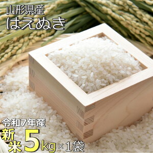 yӂ邳Ɣ[Łzyߘa7NYVāzR`Yu͂ʂv5kg_A185(R7)