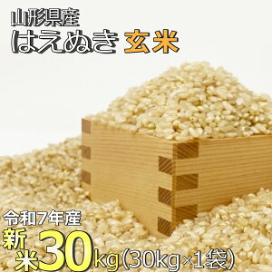【ふるさと納税】【令和7年産新米】【玄米】山形県産「はえぬき」30kg_A190(R7)