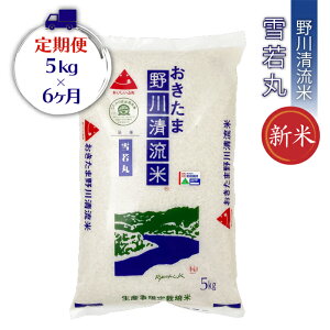 yӂ邳Ɣ[Łzy6zyߘa7NYVāzyʍ͔|āz쐴āuہv5kg×1×6_A118(R7)