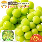＼数量限定／ 約 2kg (2～5房) 山形 の シャインマスカット 人気 の 高級 種なし ぶどう 【2024年9月～10月発送分先行受付】 先行予約 ふるさと納税 シャインマスカット ふるさと納税 マスカット ふるさと納税 ぶどう ふるさと 令和6年 2024 H063(R6)