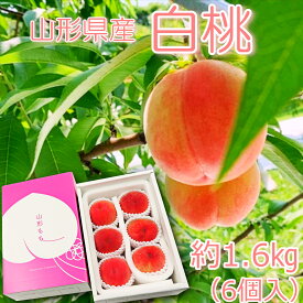 【ふるさと納税】【2026年発送】山形県産 桃（品種おまかせ）約1.6kg（6個）_H249(R8)