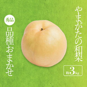 yӂ邳Ɣ[Łzy2026NzuGivR`Y aii킨܂j3kg_H175(R8)